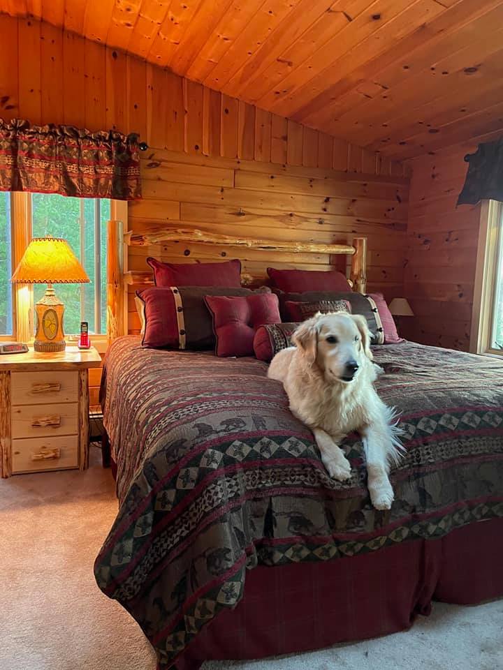 Classic Deluxe Log Headboard - Twist of Nature